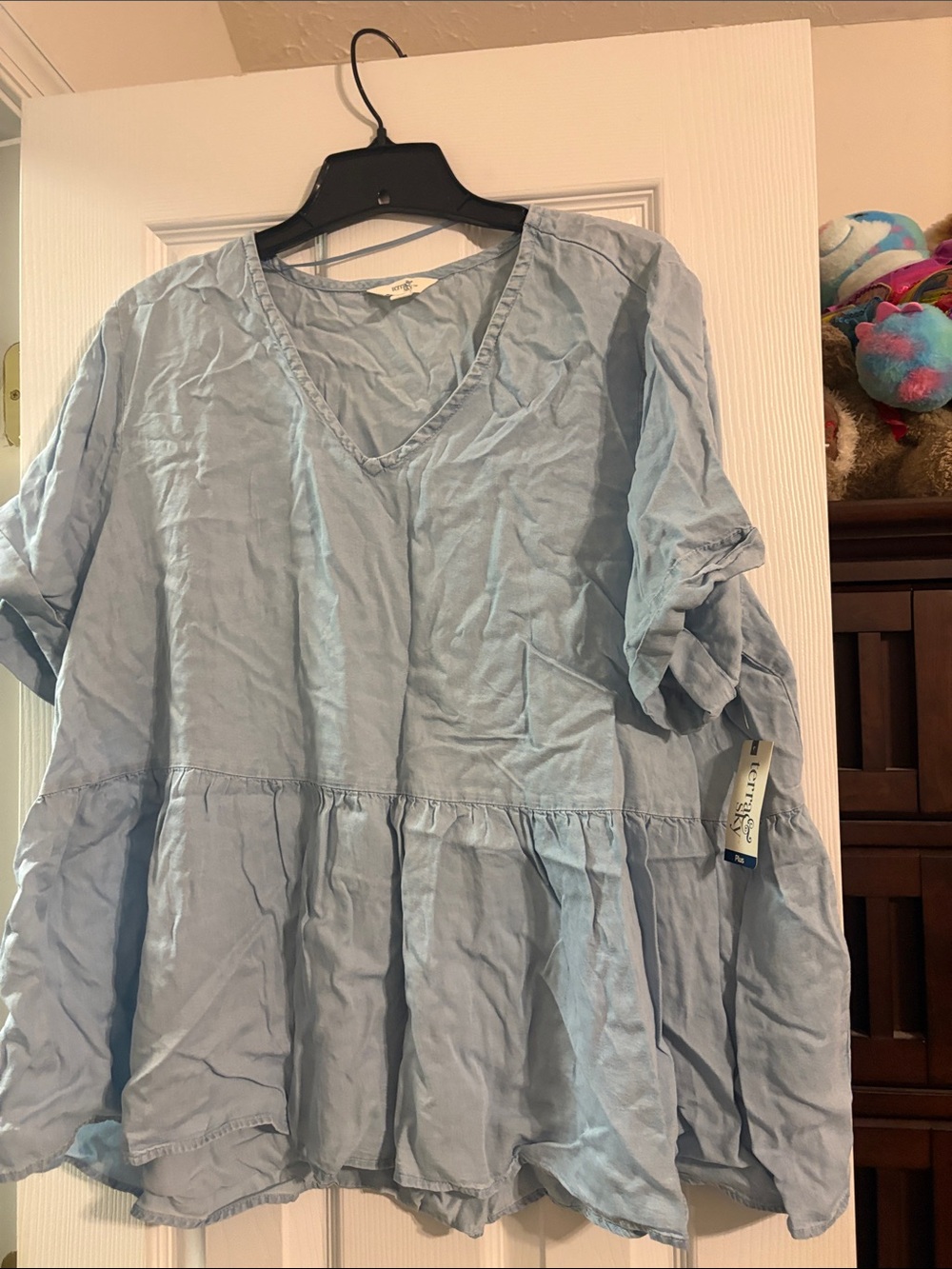 Terra & Sky Light Blue V-Neck Blouse